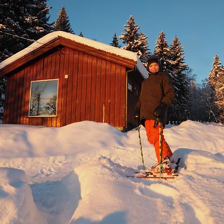 Cabin With Great View Close To Town And Ski Area Lillehammer Buitenkant foto