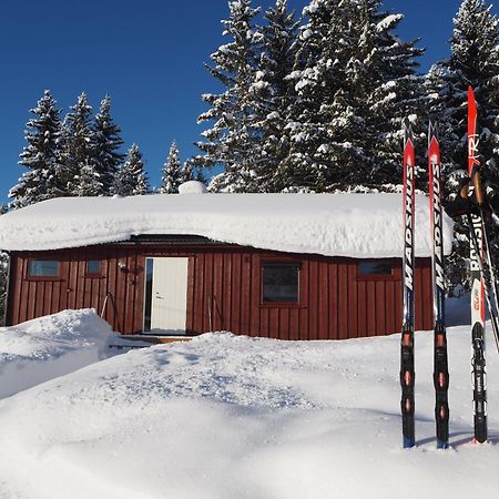 Cabin With Great View Close To Town And Ski Area Lillehammer Buitenkant foto